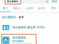 湖北健康绿码申请 湖北健康绿码怎么申请 湖北健康绿码怎么办