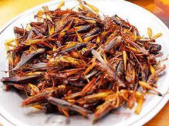 蝗虫怎么做好吃 蝗虫怎么吃 蝗虫可以吃吗
