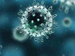 新型冠状病毒为什么传播这么快 新型冠状病毒为什么传播速度这