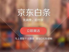 白条618无门槛券 京东白条618分期优惠券