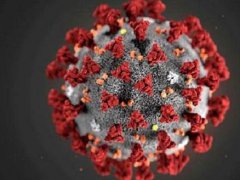 新冠病毒可以在物体上存活多久 新冠病毒可以在空气中存活多久 新冠病毒可以