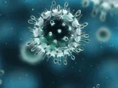 新冠病毒研制成功了吗 新冠病毒疫苗什么时候研究出来 新冠病毒疫苗正在研发