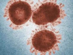 新型冠状病毒会在空气中传播吗 新型冠状病毒在空气中存活多久