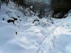 雪会不会携带病毒 雪会不会传染病毒 雪会不会把病毒带下来