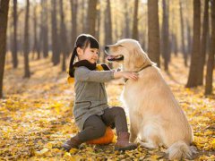 冠状病毒会传染给狗么 冠状病毒会传染给猫吗 冠状病毒会传染给动物吗