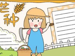 有关芒种的手抄报 芒种的手抄报怎么画
