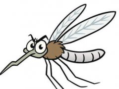 夏天蚊子多房间用什么办法治蚊子 蚊子怎么消灭