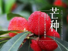 芒种后九天是几月几号 芒种后九天交运包括当天吗