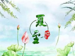 夏至有什么特点