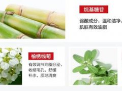 薇诺娜洁面泡沫成分