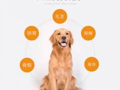 奥丁狗粮怎么样 奥丁狗粮好不好