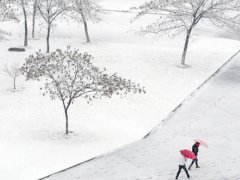 今年长沙会下雪吗 今年长沙会下雪吗