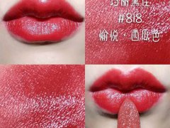 玛丽黛佳小金钻口红818