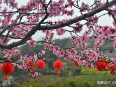 新年诗句(新年新春祝福诗词五首)