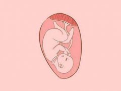 胎儿缺氧是什么原因造成的(孕期4种情况会造成胎儿缺氧)