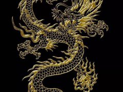 龙的来历(龙的真正来历)