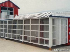 信鸽的饲养与训练(养鸽 浅谈方法与技巧)