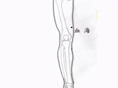 血海穴位位置图(血海穴的介绍)