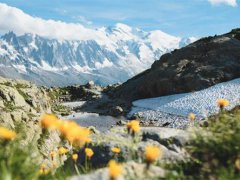 阿尔卑斯山旅游(阿尔卑斯山旅游攻略！)