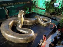 世界上最长的蛇(有记录以来世界上现存最大的蛇是什么？)