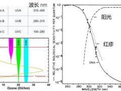 美白小秘方(送你一份美白秘方)