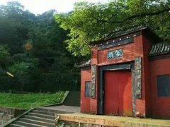 蒙顶茶是什么茶？(茶知识百科：蒙顶茶)
