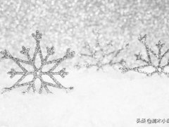 写雪的作文(这九篇写雪的作文)