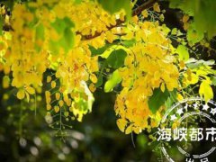 中秋来历(中秋节的由来故事简短)