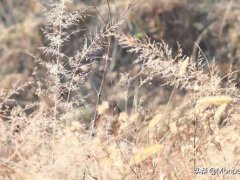 尼克胡哲语录(尼克胡哲励志语录大全)