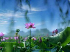 关于唐僧的歇后语(唐僧师徒歇后语)