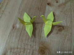 纸鹤的折法(千纸鹤折法及步骤图解)