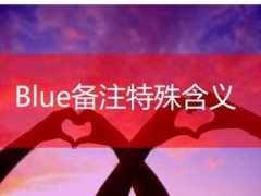 blue的意思(备注blue什么意思)