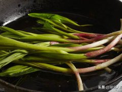 野菜大全(春天里31种野菜大图片)