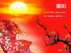 九九重阳节的祝福语(重阳节微信祝福语暖心句子汇总)