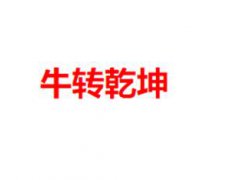 乾坤是什么意思(牛转乾坤什么意思？)