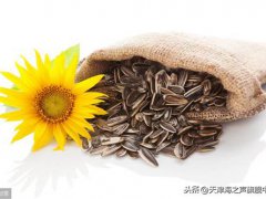 孕妇可以吃葵花籽吗？(孕妇能吃葵花籽吗)