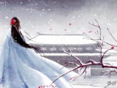 生日密码配对(生日配对法)
