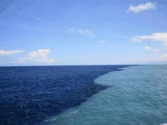 世界最大的海(世界最大的海洋是什么？)