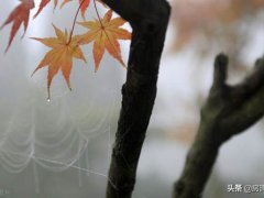 水瓶男和天秤女(天秤和水瓶是绝配？)