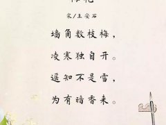 遥知不是雪为有暗香来(每日一诗：遥知不是雪，为有暗香来)