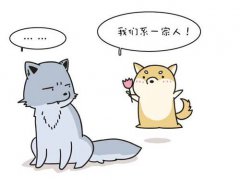 汪星人是什么意思(汪星人的来历!)