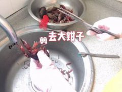 龙虾怎么洗？(这样清理小龙虾好吃又放心)