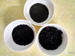 黑芝麻豆浆(家常黑豆豆浆的做法)