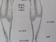 足跟骨刺的治疗方法(再谈谈足跟骨刺的特效治疗)