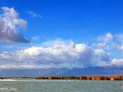 银川沙湖(银川必玩景点沙湖旅游景区)