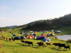 仙女山旅游攻略(重庆仙女山一日游攻略)