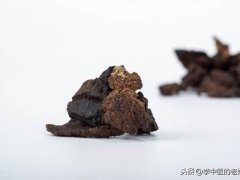 生地的功效与作用(清热凉血第一药——生地黄)