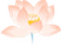 六级成绩什么时候出来(6月四六级成绩查询时间)