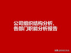 公司组织结构(公司组织结构分析及解决思路)