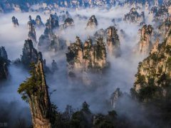 张家界旅游介绍(张家界详细攻略)